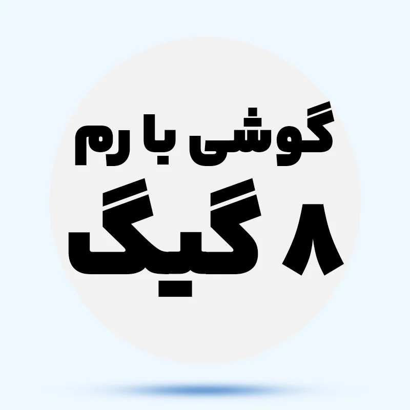 رم 8 گیگ r6qbN1