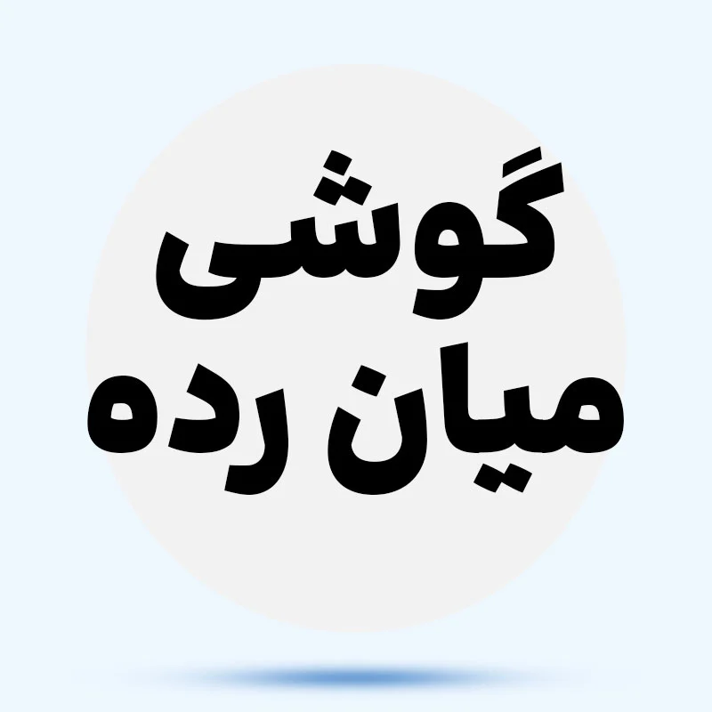 میان رده rBOKhf